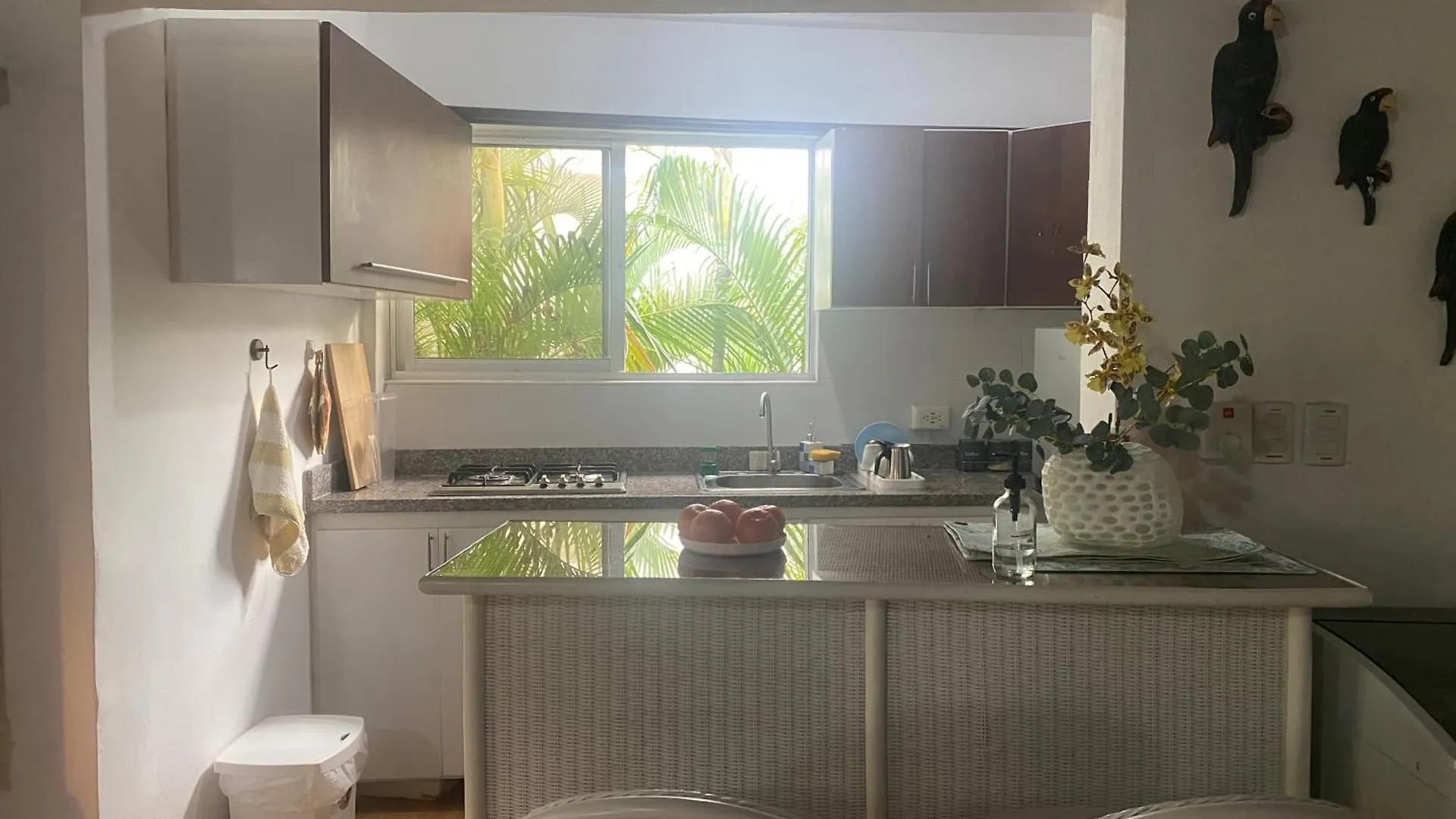Apartment Beach Cabin Juan Dolio Villa Del Mar